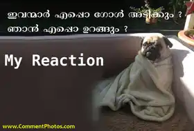 ഇവന്മാര്‍ എപ്പോ ഗോള്‍ അടിക്കും. ഞാന്‍ എപ്പോ ഉറങ്ങും - My Reaction - Ivanmar Eppo Goal Adikkum, Njaan Eppo Urangum - Worried Pug Dog Watching Football Match at Night