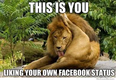 This is You - Liking your own status - Lion Licking His Balls and Ass