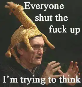Everyone Shut The Fuck Up - I am trying to think