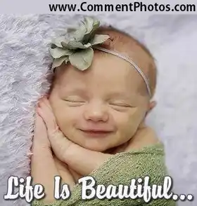 Life Is Beautiful - Cute NewBorn Baby Sleeping