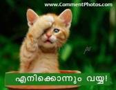 എനിക്കൊന്നും വയ്യ - പൂച്ചക്കുട്ടി - Enikkonnum Vaiyya - Cute Kitty Cat Closing Eyes