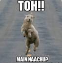 Tho Mein Nachu - Funny Sheep