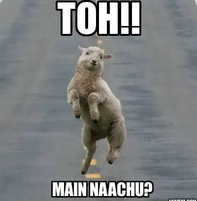 Tho Mein Nachu - Funny Sheep