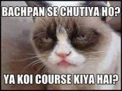 Bachpan Se Chutiya Ho Ya Koi Course Kiya Hai - Grumpy Cat