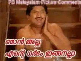 ഞാന്‍ അല്ല. എന്റെ ഗര്‍ഭം ഇങ്ങനല്ല - ജഗതി ശ്രീകുമാര്‍ - Njaan Alla. Ente Garbham Inganalla - Jagathy Sreekumar - Meleparambil Aanveedu