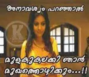 അനാവശ്യം പറഞ്ഞാല്‍ മുളക് കലക്കി ഞാന്‍ മുഖത്തൊഴിക്കും - ശോശന്ന - അമേന്‍ - Anavashyam Paranjaal Mulaku Kalakki Njaan Mukhathozhikkum - Shoshanna, Swetha Reddy in Amen