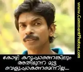 കോഴി കറുപ്പാണെങ്കിലും അതിടുന്ന മുട്ട വെളുപ്പാകണം എന്നില്ല - സാന്തോഷ് പണ്ഡിറ്റ്‌ - Kozhi Karuppanenkilum Athidunna Mutta Veluppaakanam Ennilla - Santhosh Pandit