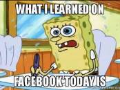 Spongebob - What I Learned On Facebook Today Is