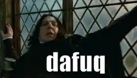 Dafuq - Professor Snape - Harry Potter