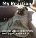 My Reaction - Evanunga Eppo Goal Podurathu, Naan Yappo Thungarathu - Funny Pug Dog watching Fifa Football Worldcup at Night
