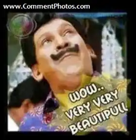 Wow.. Very Very Beautiful People - Vadivelu
