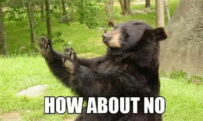 How About No - Funny Bear Reaction