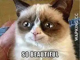 So Beautiful - Grumpy Cat Happy