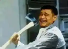 Break it with axe - Bitch Please - psycho