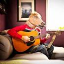 Horse Masked Man Playing Guitar