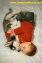 Husky Puppy And Baby