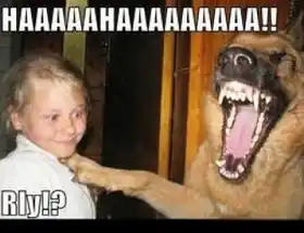 Hahahahahhaaaaaaaaaaaaa Rly - Really - Dog LOL with Girl