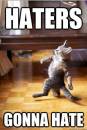 Haters Gonna Hate - Cat Walking Like A Boss