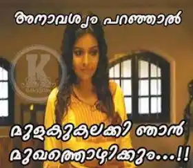 അനാവശ്യം പറഞ്ഞാല്‍ മുളക് കലക്കി ഞാന്‍ മുഖത്തൊഴിക്കും - അമേന്‍ - Anaavashyam Paranjaal Mulaku Kalakki Njaan Mukhathozhikkum - Swetha Reddy in Amen