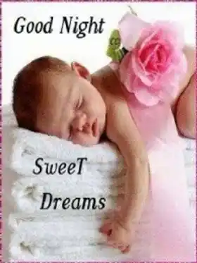 Good Night Sweet Dreams