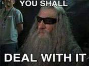 You Shall Deal With It - Hobbit Gandalf - The Lord of the Rings