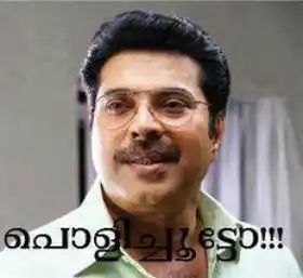 പോളിച്ചൂട്ടോ - പ്രാഞ്ചിയേട്ടന്‍ - മമ്മൂട്ടി - Polichootto - Pranchiyettan - Mammootti