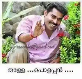 തള്ളേ പൊളപ്പന്‍ - സുരാജ് വെഞ്ഞാറമ്മൂട് - Thalle Polappan - Suraj Venjarammood