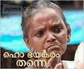 ഹോ ഭയങ്കരം തന്നെ - ചാള മേരി - Ho Bhayankaram Thanne - Chala Mary