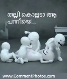 തല്ലി കൊല്ലടാ ആ പന്നിയെ - വോഡാഫോണ്‍ സൂസൂ - Thalli Kollada Aa Panniye - Vodafone Zoozoos
