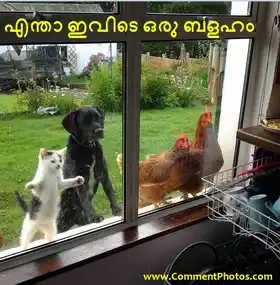 എന്താ ഇവിടെ ഒരു ബളഹം - Enthaa Ivide Oru Balaham