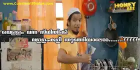 വെള്ളം വന്ന സ്ഥിതിക്ക് വള്ളം കളി തുടങ്ങിയാലോ - ശ്രീനാഥ് ഭാസി - Vellam Vanna Sthithikku Vallam Kali Thudangiyaalo - Sreenath Bhasi in Honey Bee