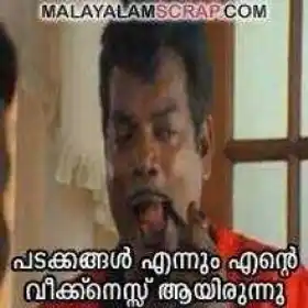 പടക്കങ്ങള്‍ എന്നും എന്റെ വീക്നെസ് ആയിരുന്നു - സലിം കുമാര്‍, പുലിവാല്‍ കല്യാണം - Padakkangal Ennum Ente Weekness Aayirunnu - Salim Kumar‍ in Pullival Kalyanam